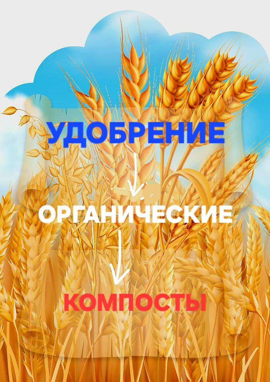 Удобрение органические компосты