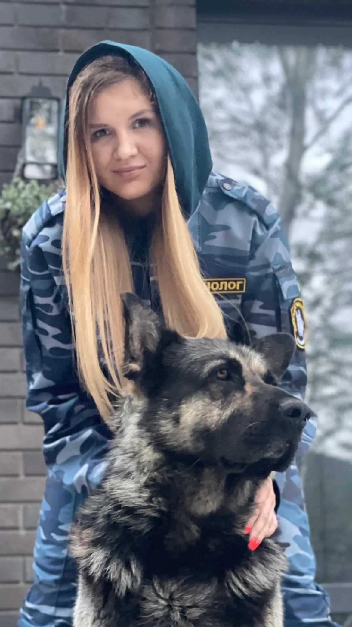 Дрессировка собак