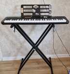 Синтезатор Casiotone CT-S100