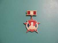 Краснознаменный Туркестанский военный округ (ТуркВО).