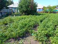 Продаётся дом в районе  Новый Подхоз