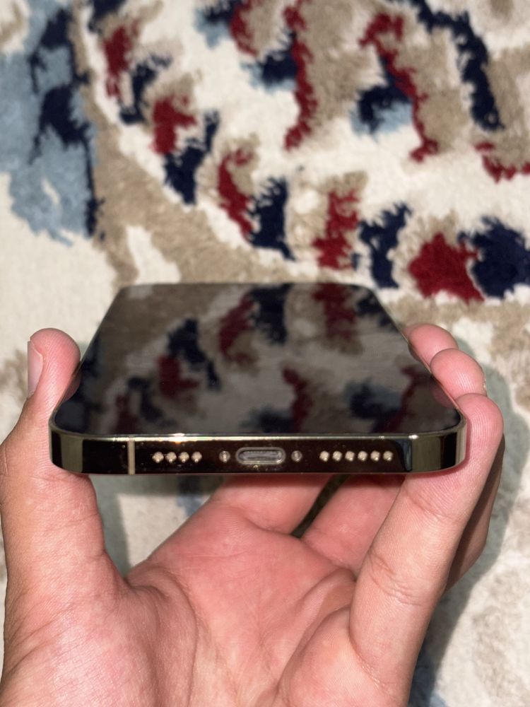 iPhone 12 Pro Max