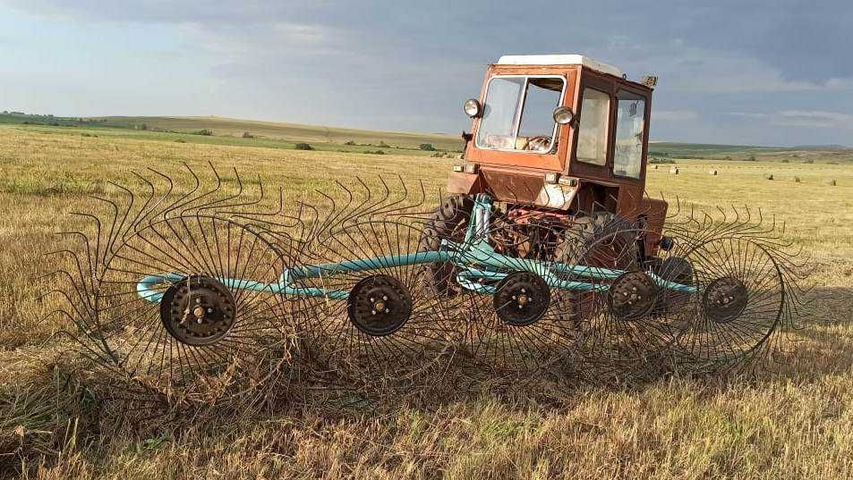 грабли ворошилки 5 колес
