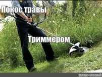 Покос травы уборка