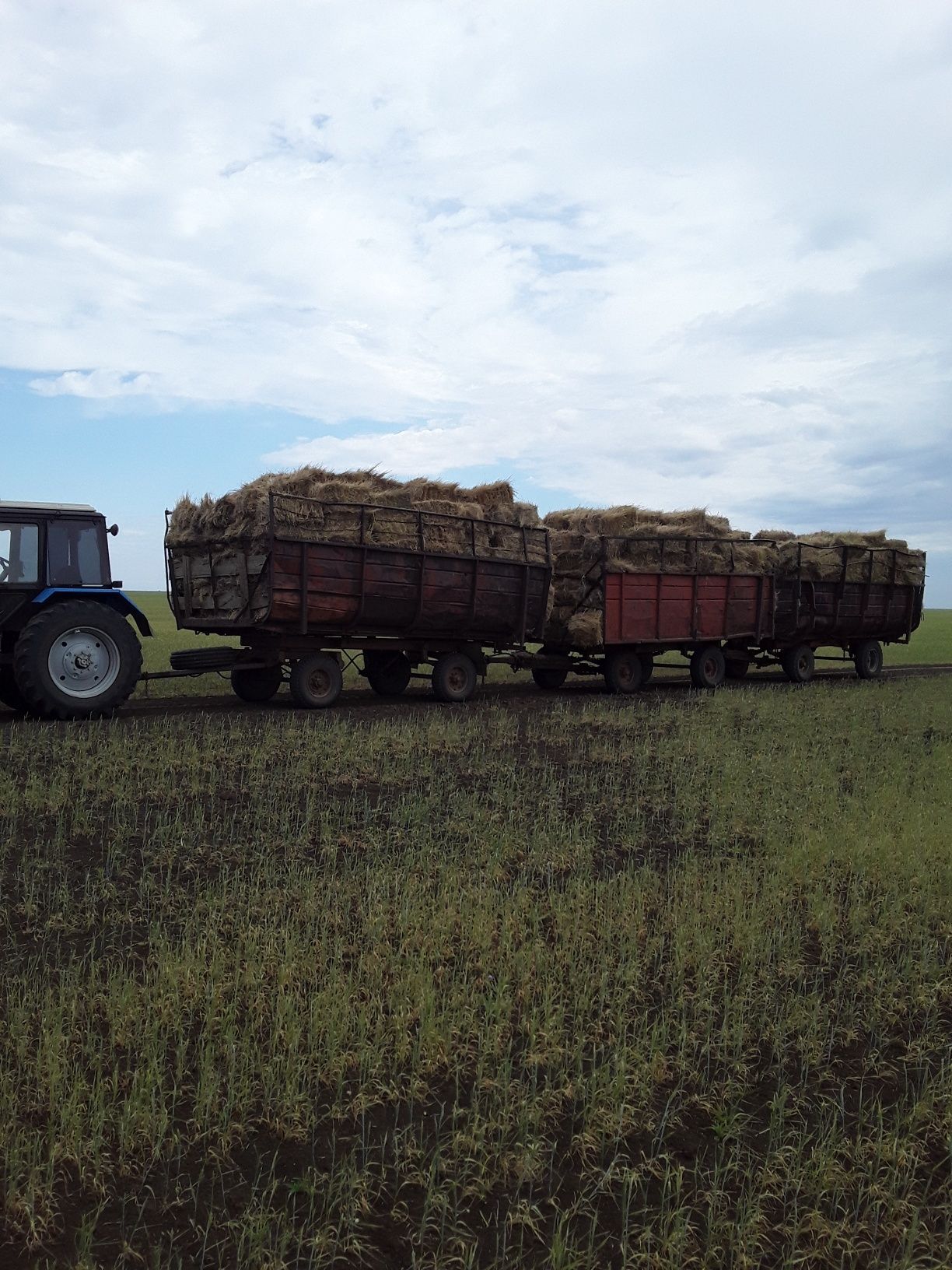 Продам два прицепа птс-4