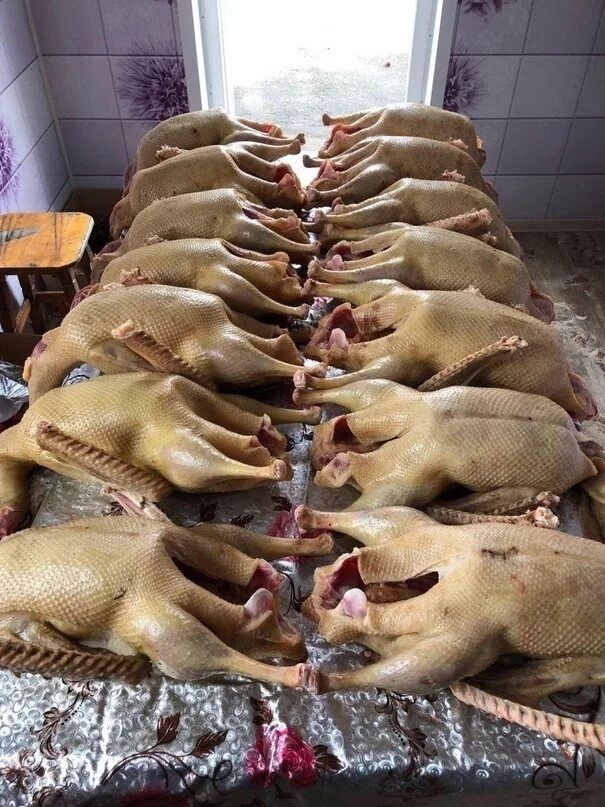 Мясо домашних мясных уток мулард гусей, индауток, петушков, гусей