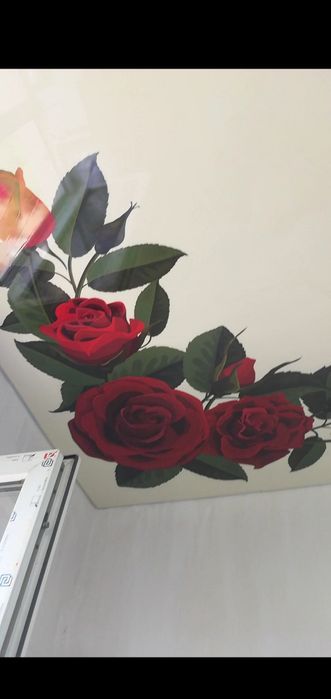 Натяжные потолки не дорого