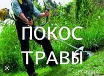 Покос травы, качество,опыт