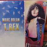 виниловая пластинка Mark Bolan  T REX