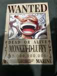 Розыскные карточки One Piece