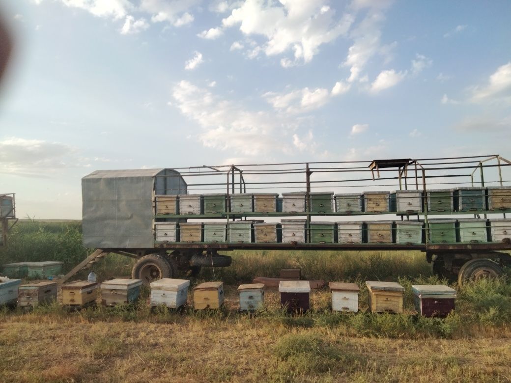Продам 2 павильон