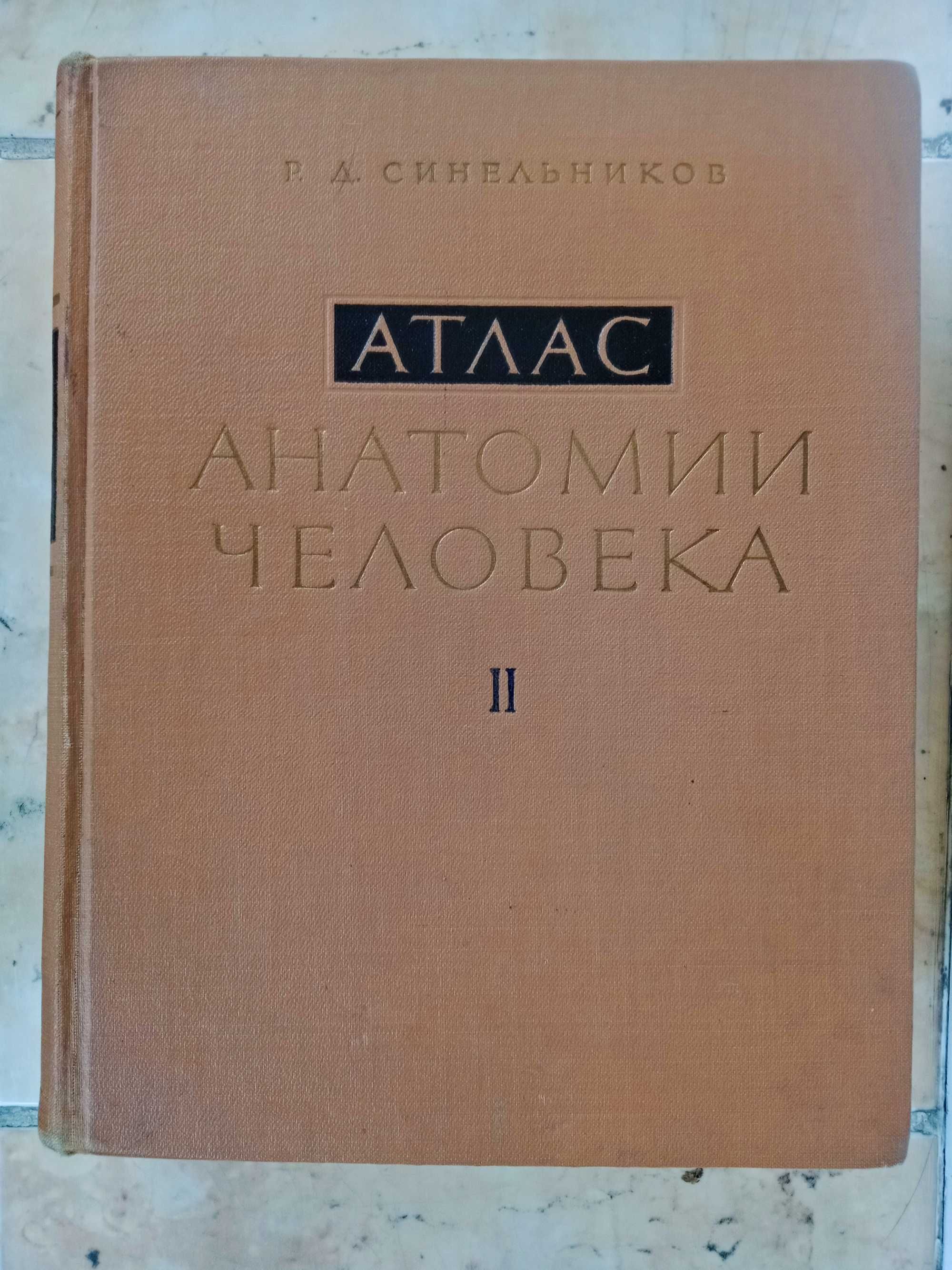 Атлас Анатомии человека