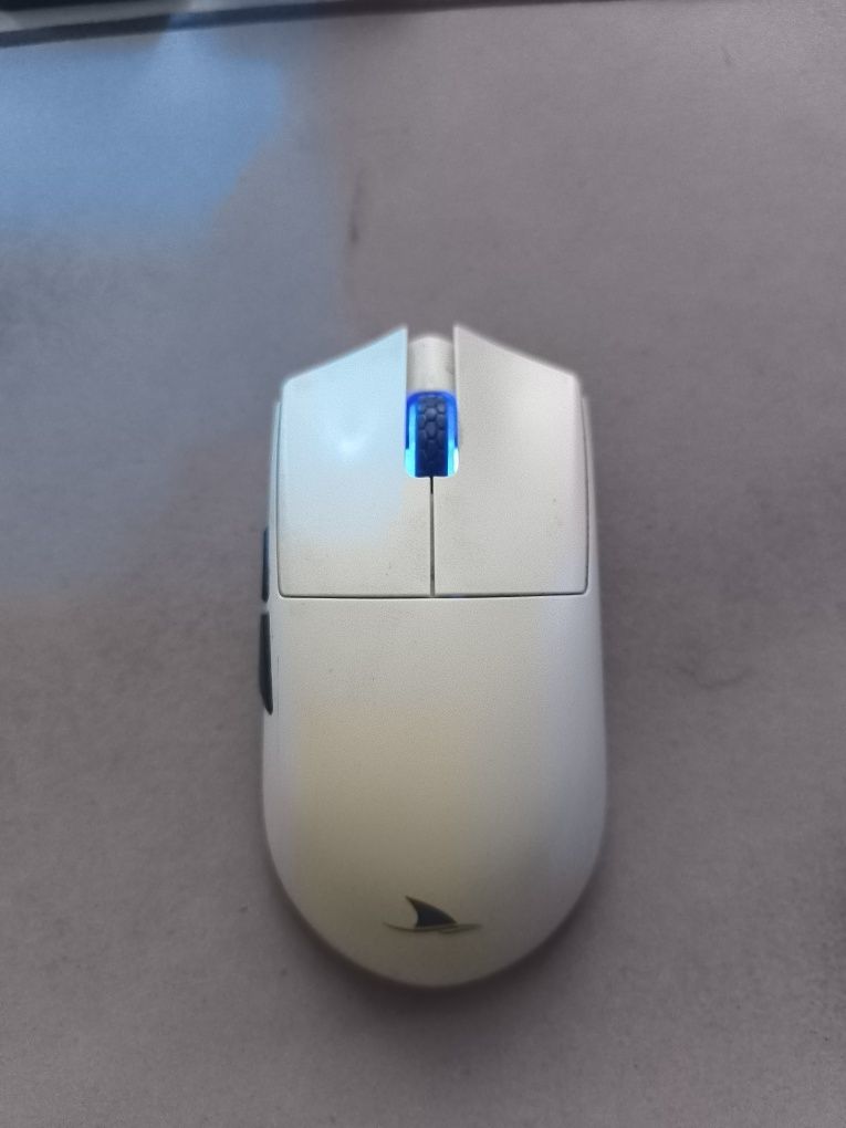 Продаю мышь Darmoshark
