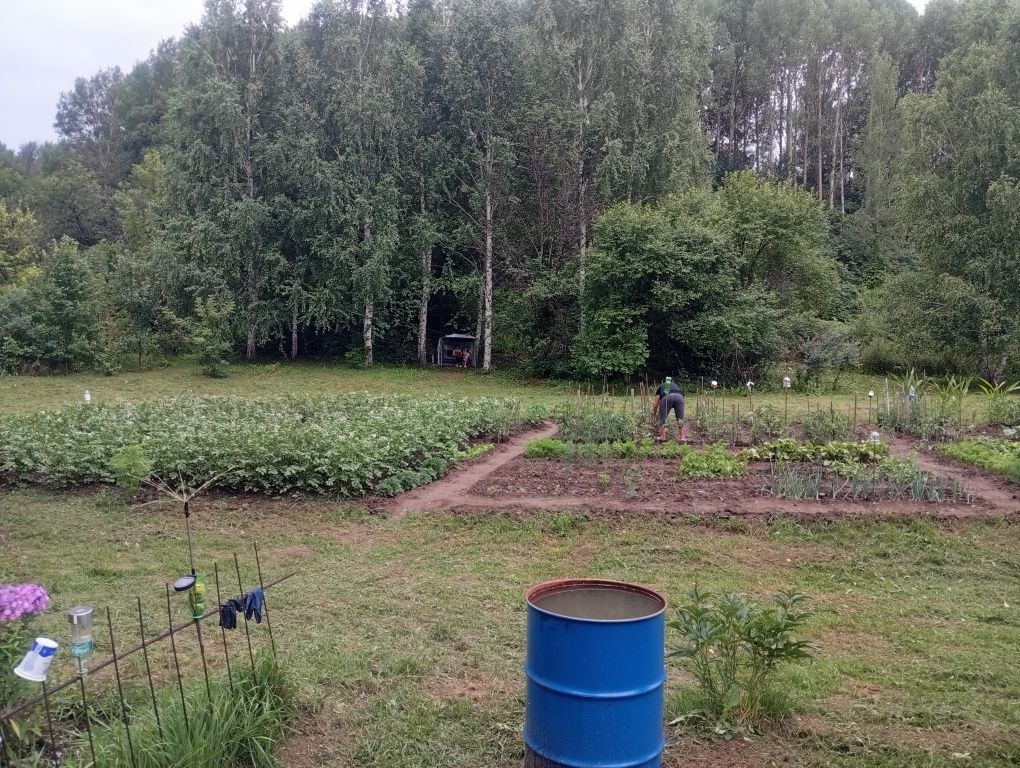 Дача с пасекой (за Тарханкой)