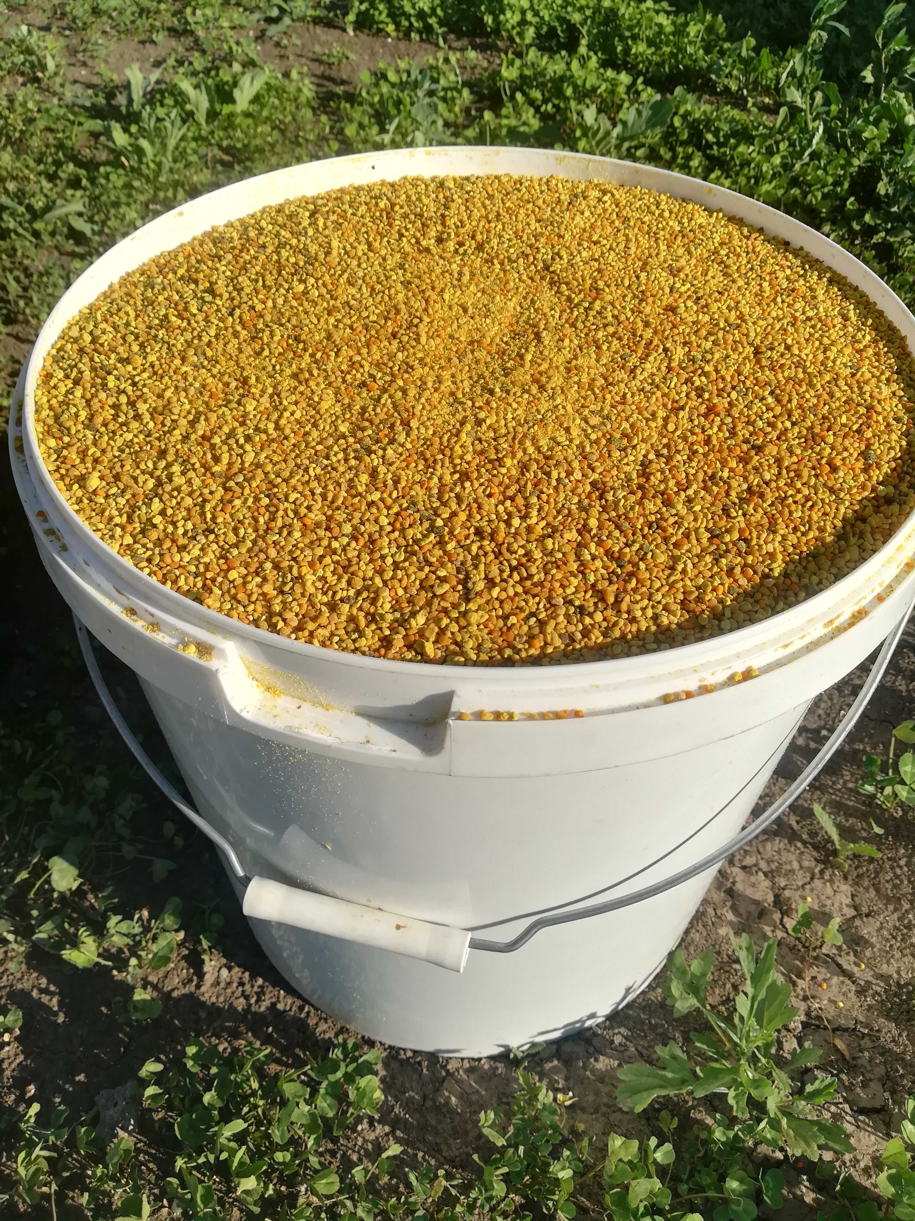 Продам мёд, пыльцу, лесное разнотравие