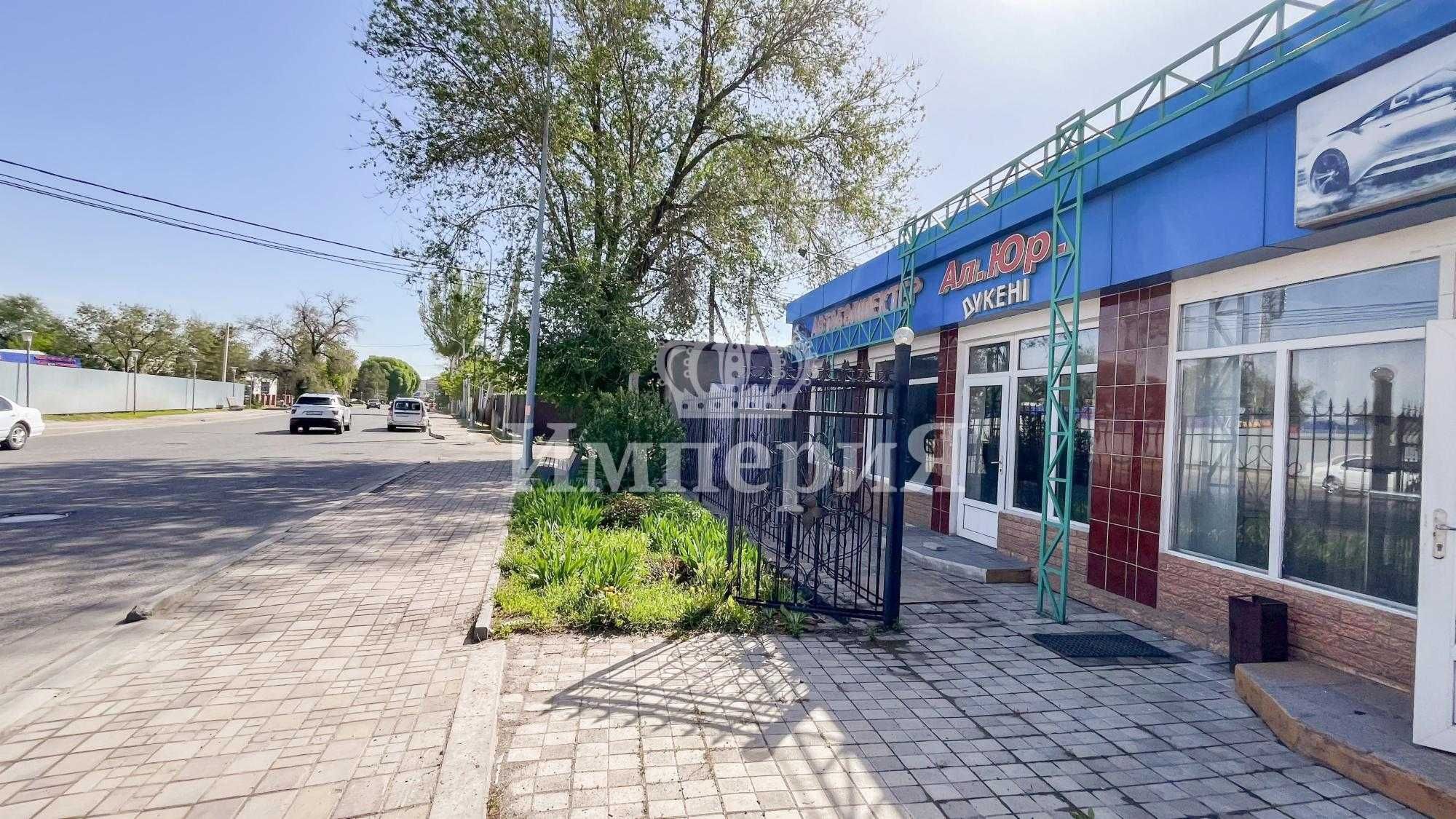 Продается частный дом с магазином в Центре, Анна Империя