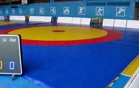 Борцовский ковер (без матов), 12х12м FC супер цена