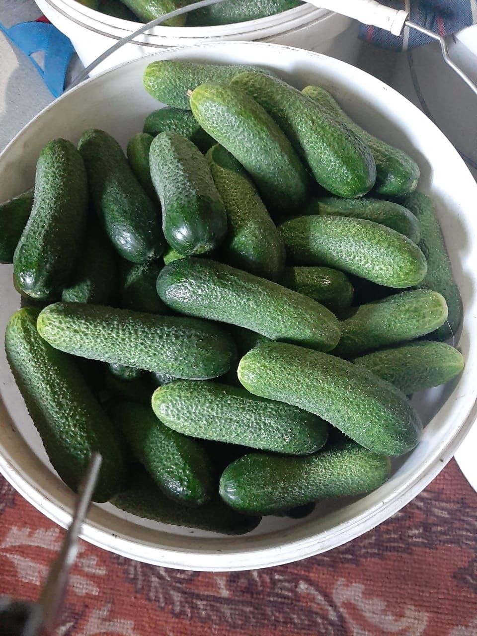 Вишня, огурцы домашние