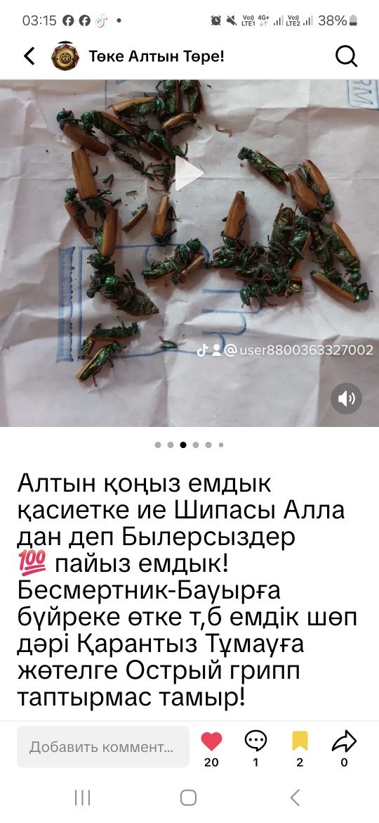 Орама дәні бес мың көз тазалаушы сатылымда