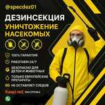 ДЕЗИНСЕКЦИЯ ДЕРАТИЗАЦИЯ Дезинфекция от клопов тараканов муравьев