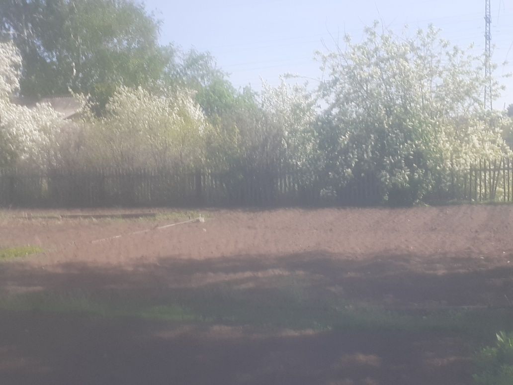 Продам дачу  сад  здоровье