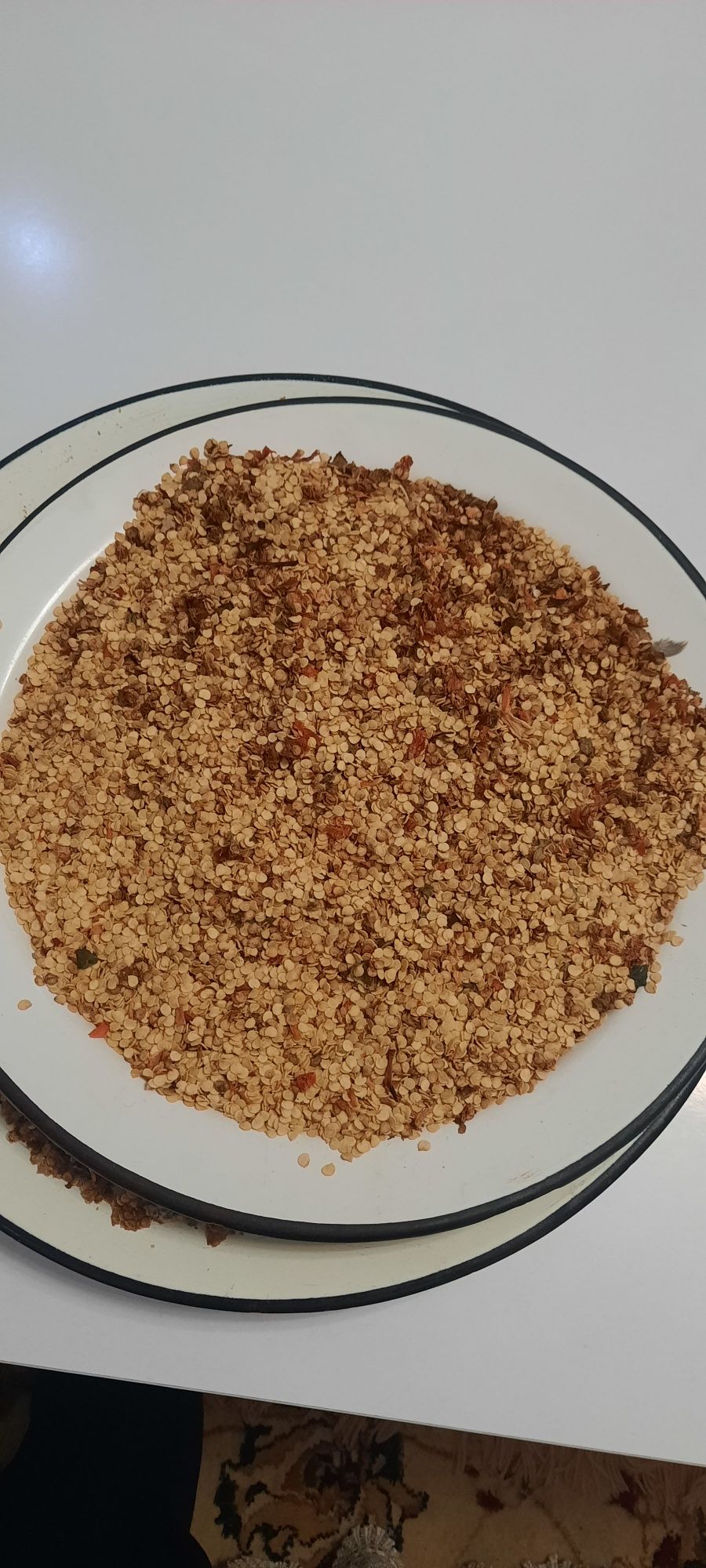 Продаю семена перца  сорт зелёный  и красный болгарский