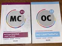 Едукон (Educon)  Оқу сауаттылығы, Мат. Сауаттылық