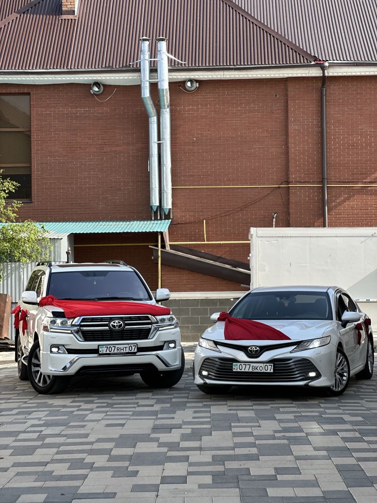 Toyota camry 70 >