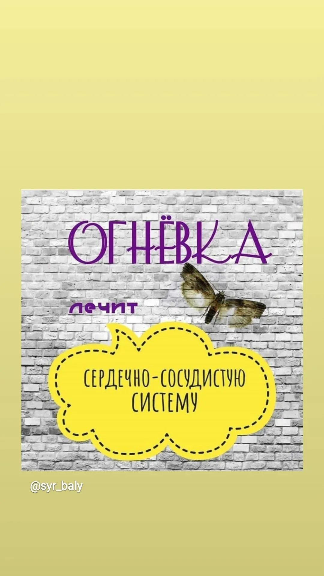 Огнёвка восковая моль 3000тг