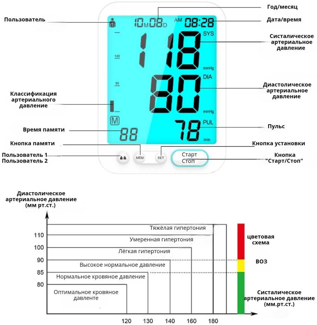 Тонометр Bai-Bala U81D автоматический на плечо