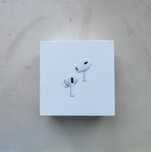 AirPods Pro 2-го поколения