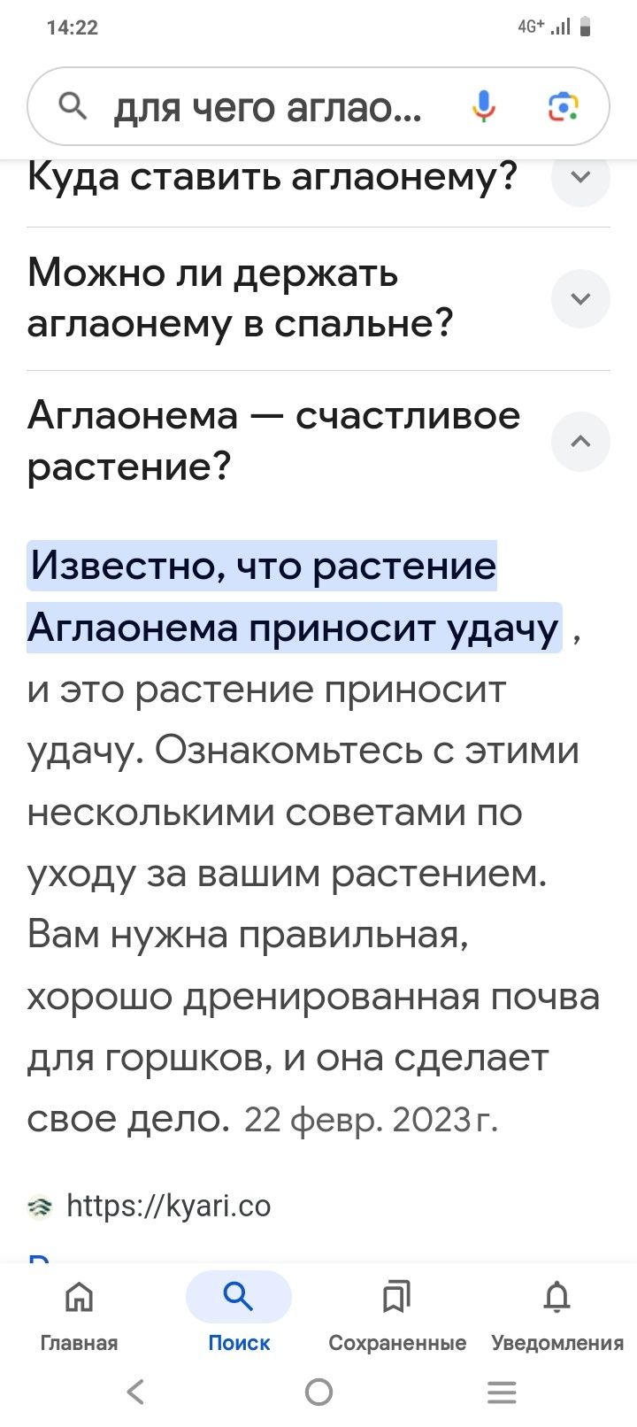 Комнатный цветок Аглаонема! Принесёт Удачу в Ваш Дом!