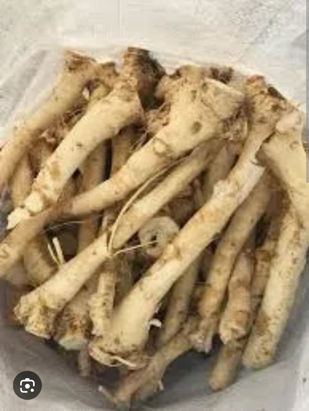 Свежие корни хрена