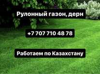 Газон, рулонный газон, готовый газон, дерн, укладка