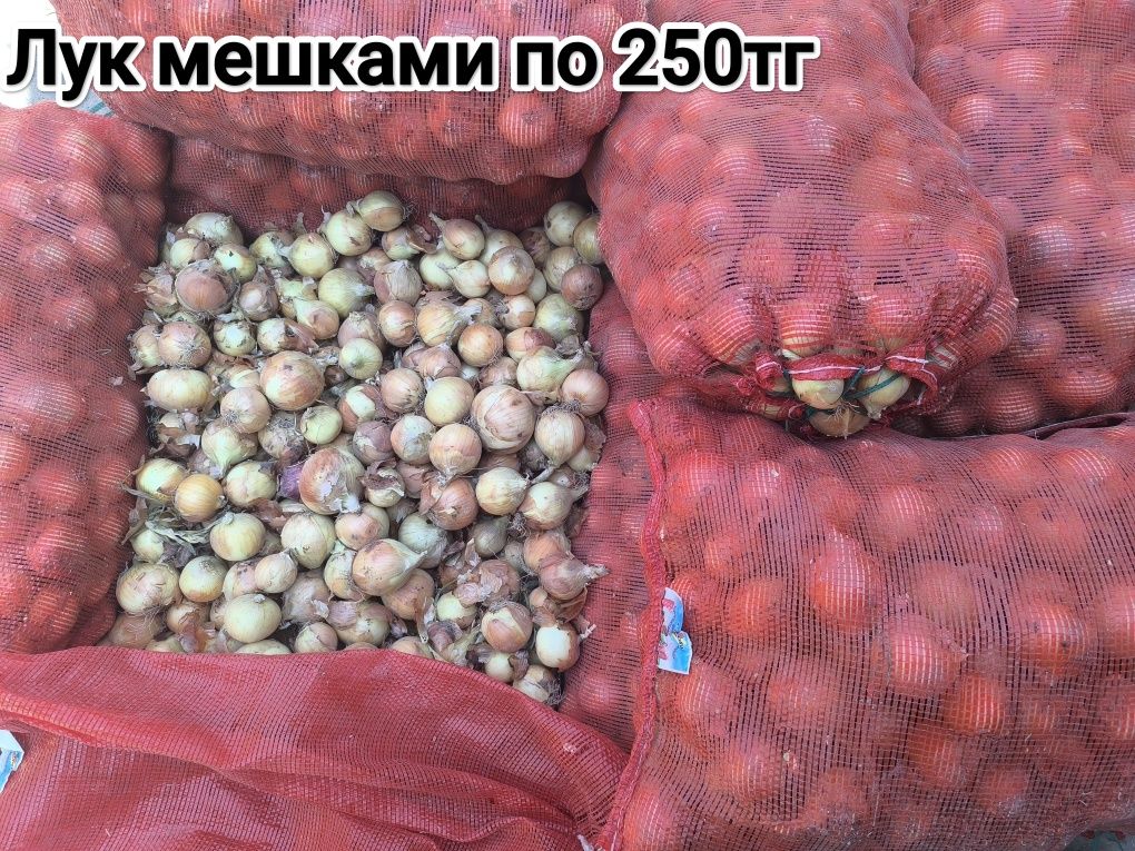 Овощи,фрукты       .