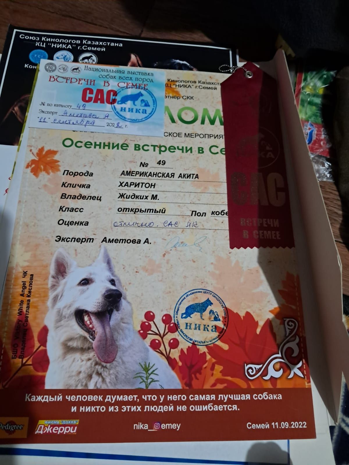 Породный кобель для вязки
