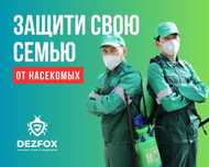 Cанобработка Уничтожение Клопов Тараканов Крыс Мышей Дезинфексия