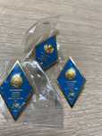 Продам нагрудной знак Евразийского Университета