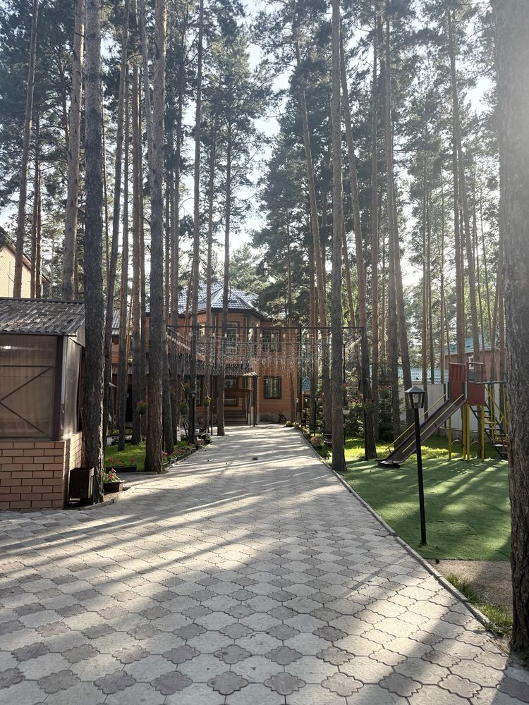 Сдам коттедж в Боровом, гостевой дом