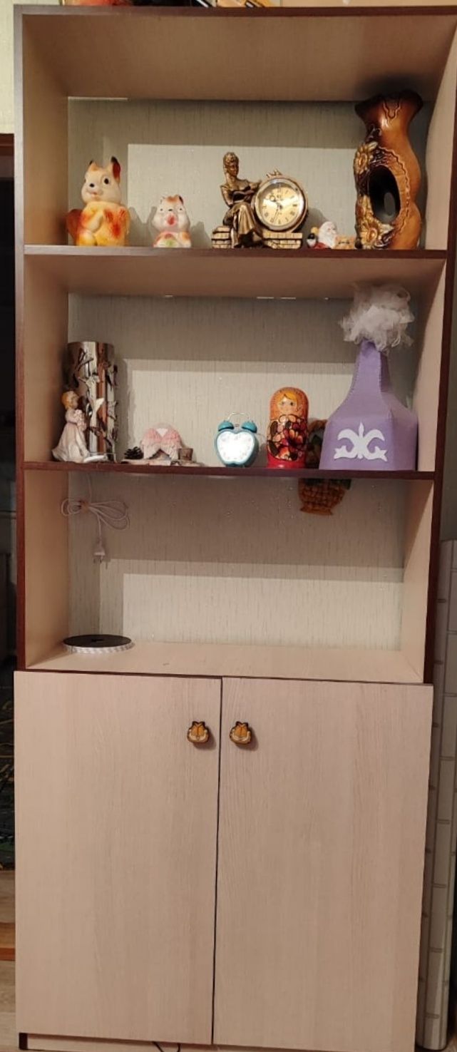 Продается книжный шкаф