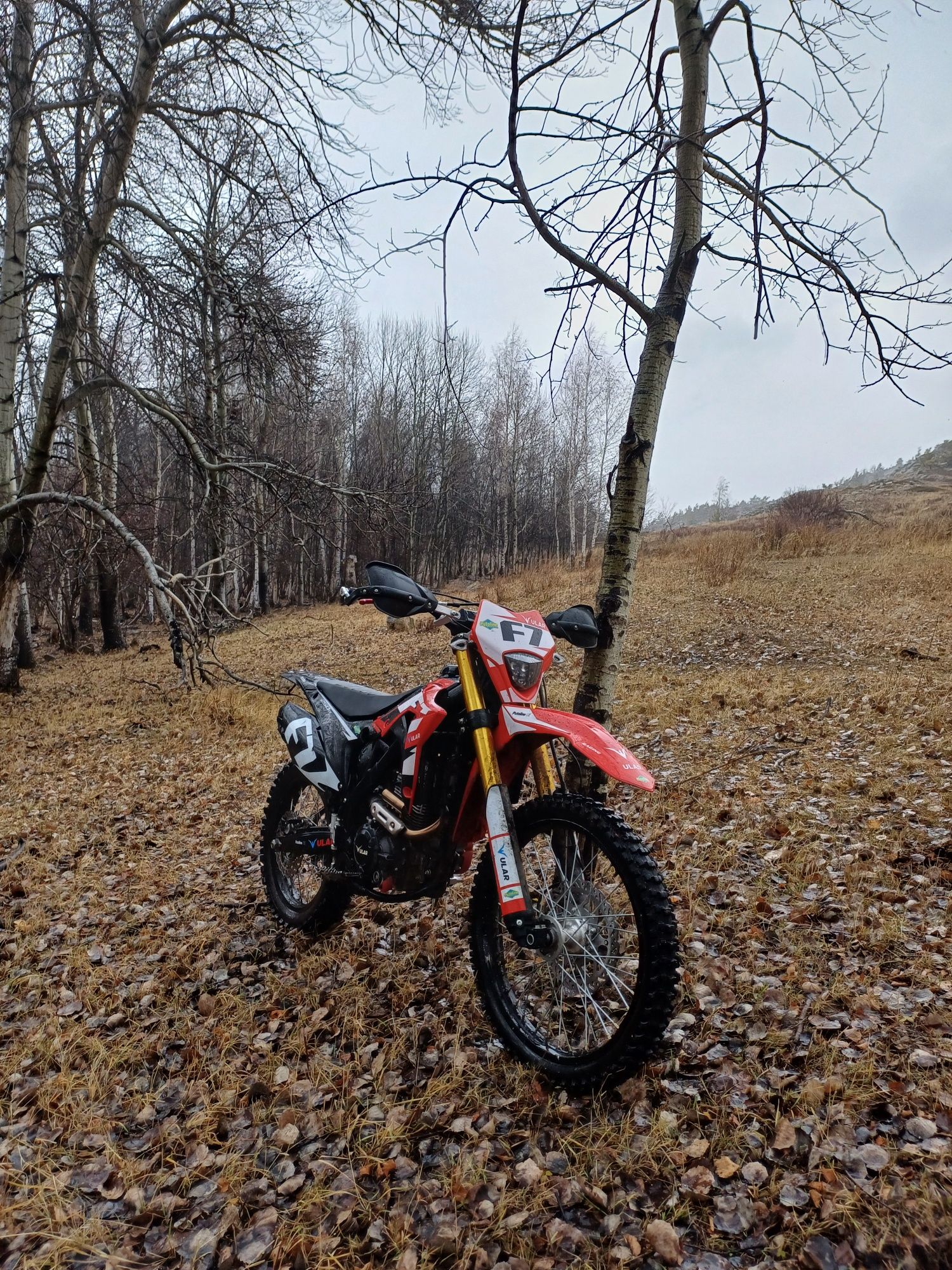 Ular F7 250cc 4t