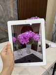 Ipad 4 с поддержкой sim-карты и wifi