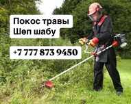Покос травы/ Шөп шабу