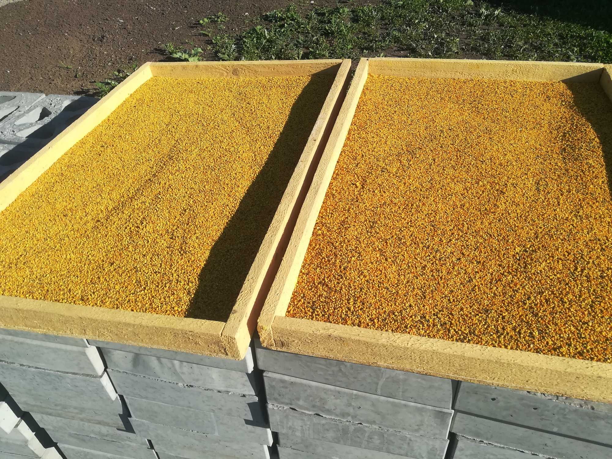 Продам мёд, пыльцу, лесное разнотравие