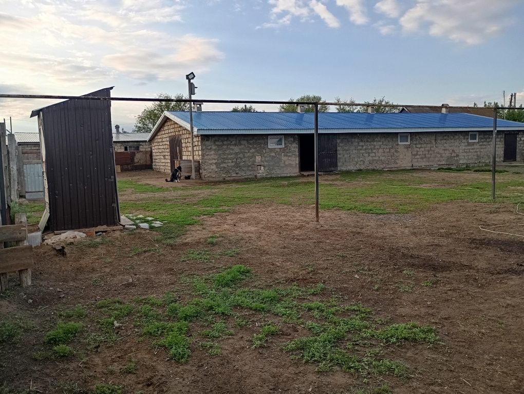 Продам дом с большим сараем срочно