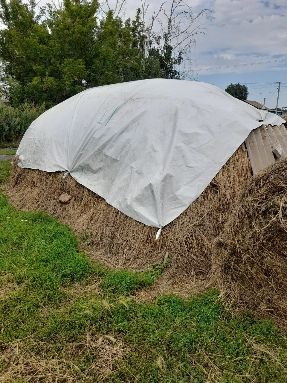 Продам      сено