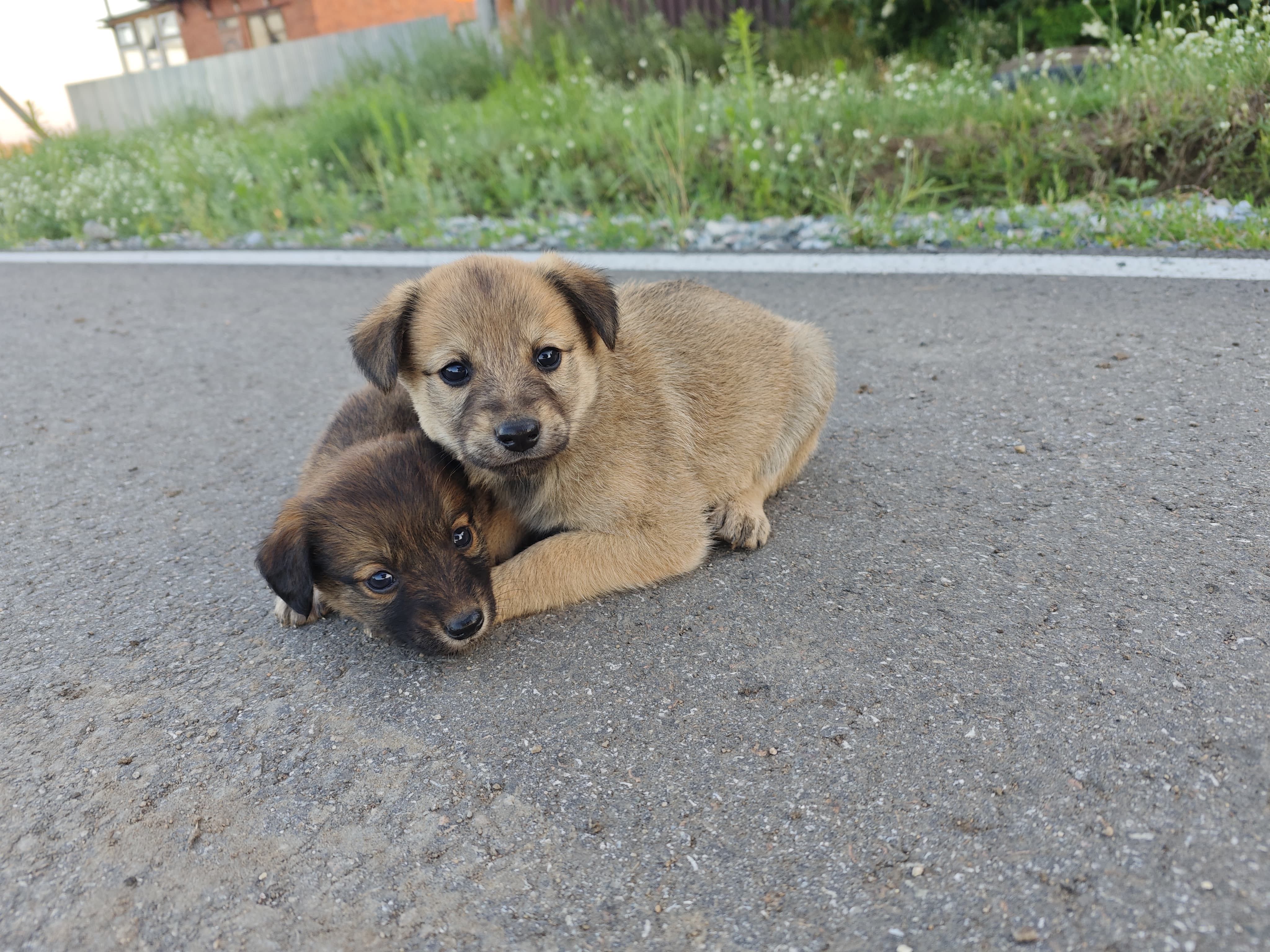 Милоты Вам в дом:-)