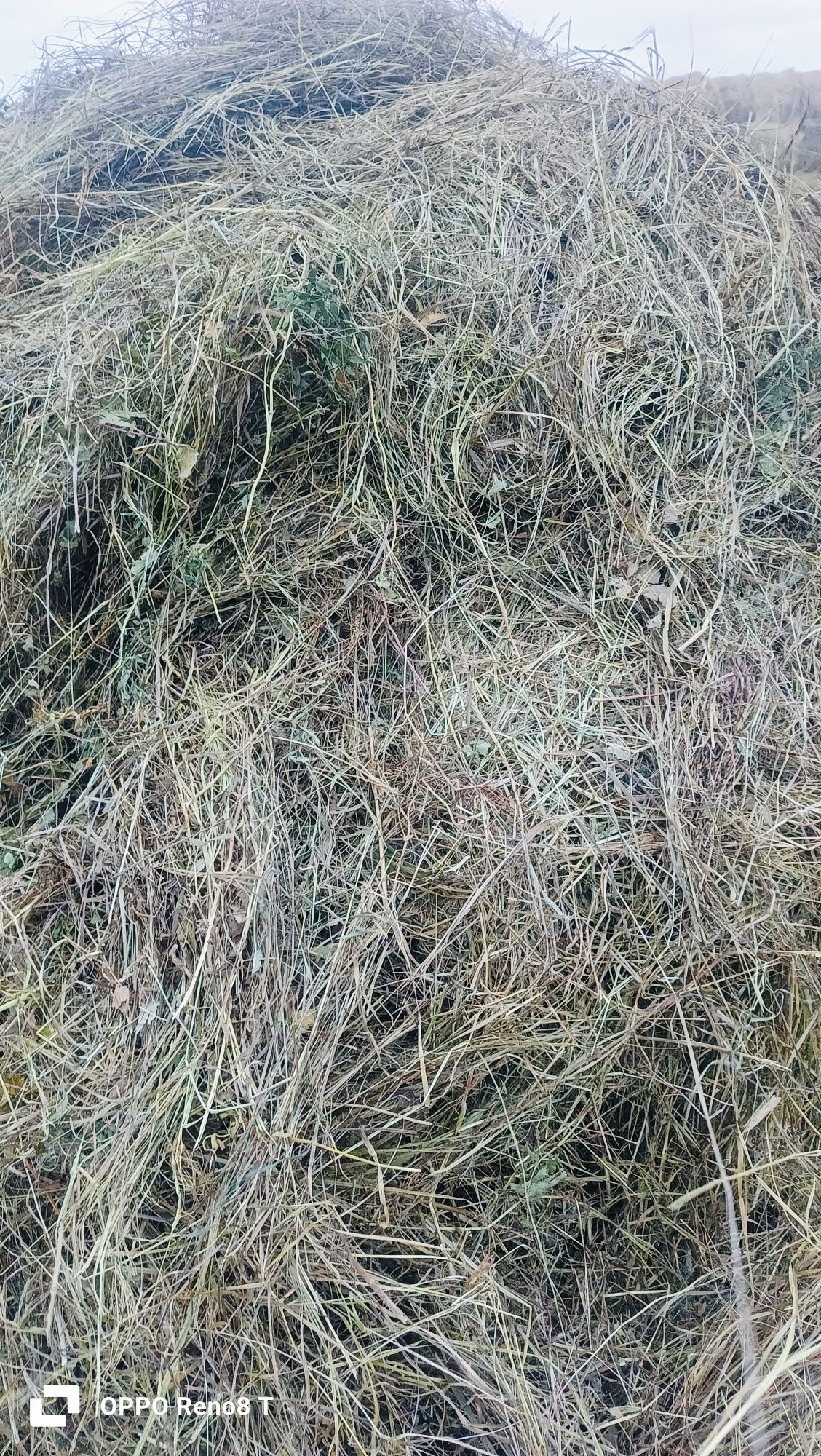 Сено луговое . рулон