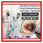ДЕЗИНСЕКЦИЯ в Уральске/уничтожение клопов/Гарантия РЕЗУЛЬТАТА/документ