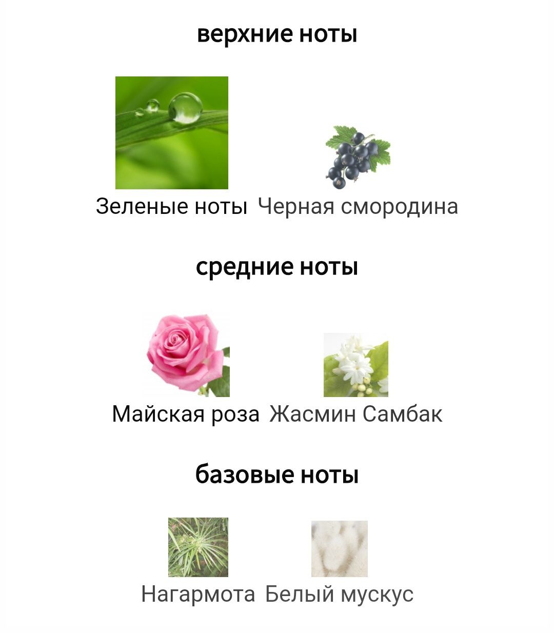 Духи Killian "Kiss from a rose"
